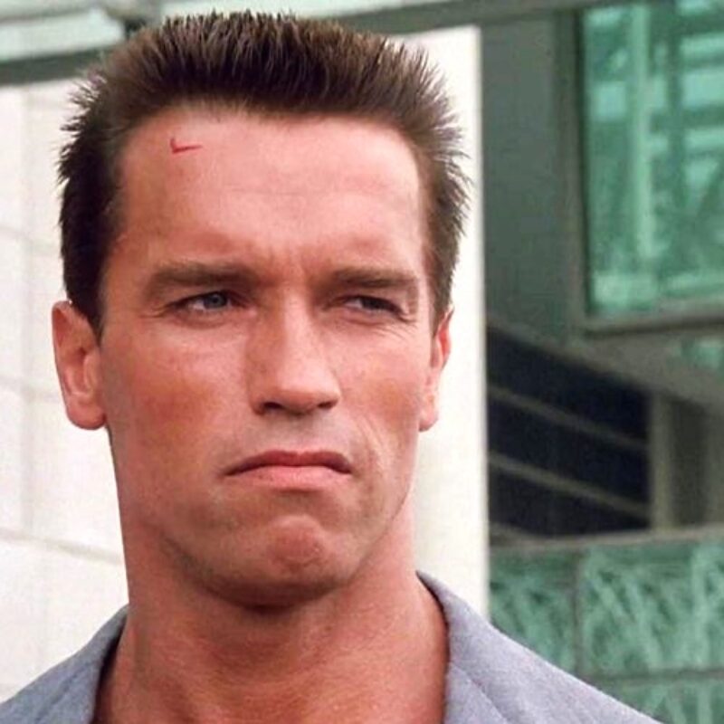 Arnold Schwarzenegger Missed Such a Huge Flaw in $35 Million Worth Movie