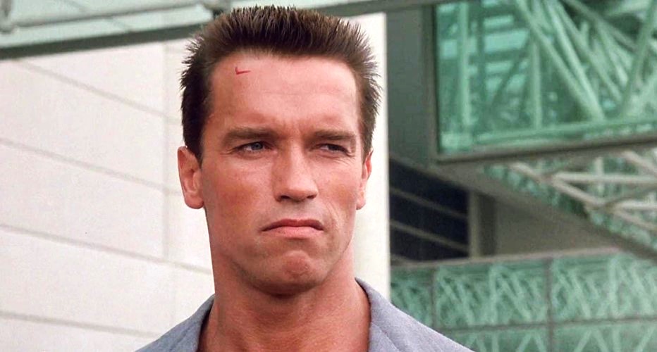 Arnold Schwarzenegger Missed Such a Huge Flaw in $35 Million Worth Movie