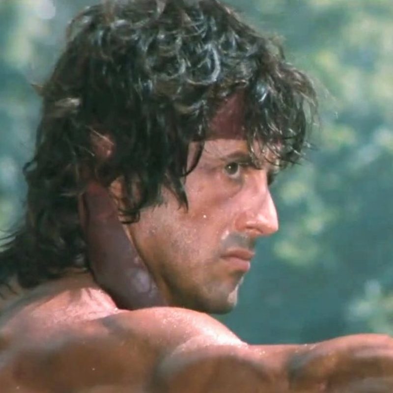 15 Best Sylvester Stallone Movies According to Box Office