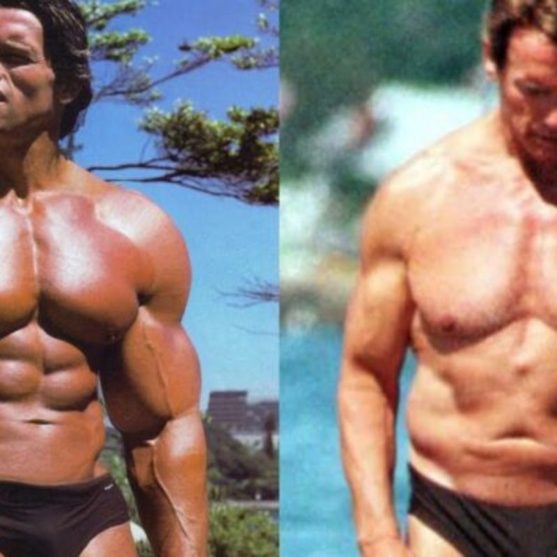 Arnold Schwarzenegger’s Transformation