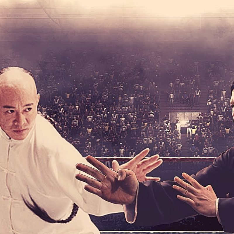 Jet Li vs Donnie Yen! Wushu vs Wing Chun