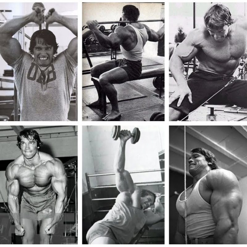 Arnold Schwarzenegger | All Exercises