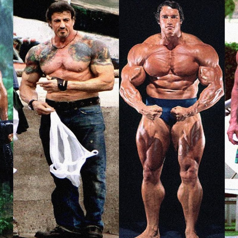 Arnold Schwarzenegger Vs Sylvester Stallone Transformation