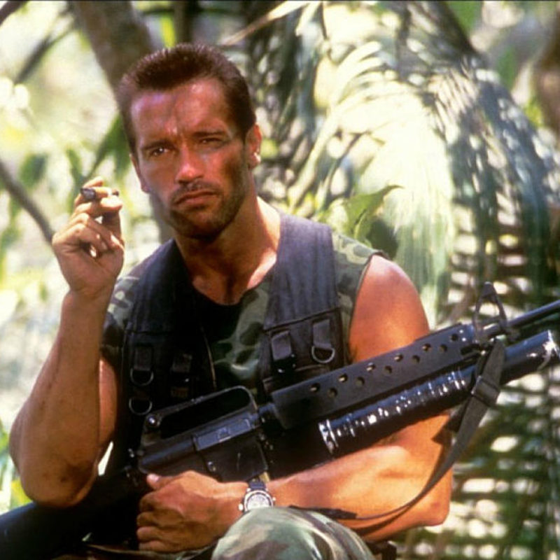 Arnold Schwarzenegger Is Called Movies’ ‘Ultimate Action Hero’