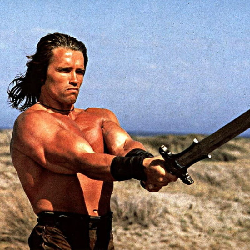 Conan the Barbarian (1982) Biography, Plot, Development, Casting, Filming, Box office, Scene.