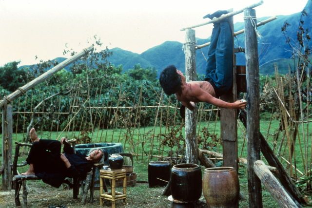 Drunken Master (1978)