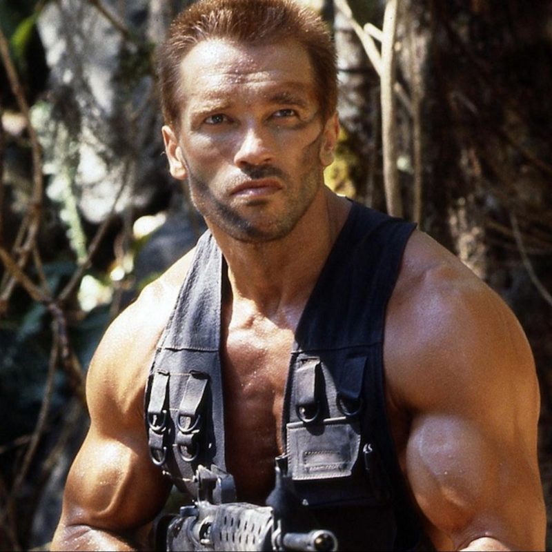 Predator (1987) Biography, Plot, Development, Casting, Filming, Box office, Scene.