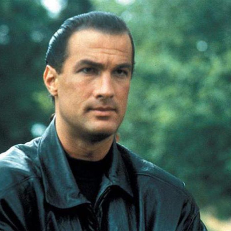 Above The Law: The Ultimate Action Introduction To Steven Seagal.