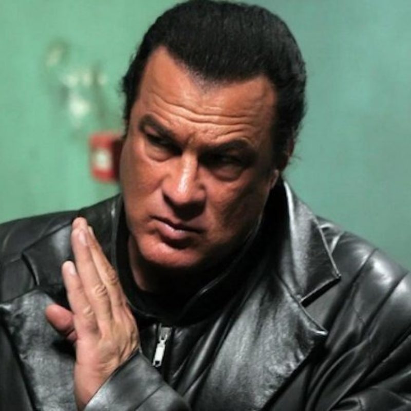 Steven Seagal Martial Arts Roles