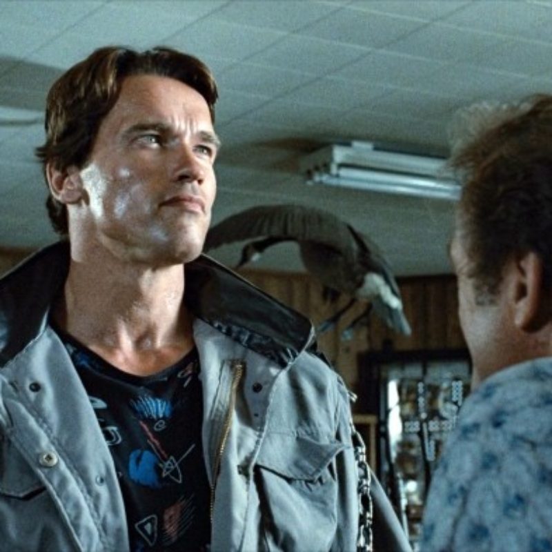 24 Indestructible Facts About The Terminator