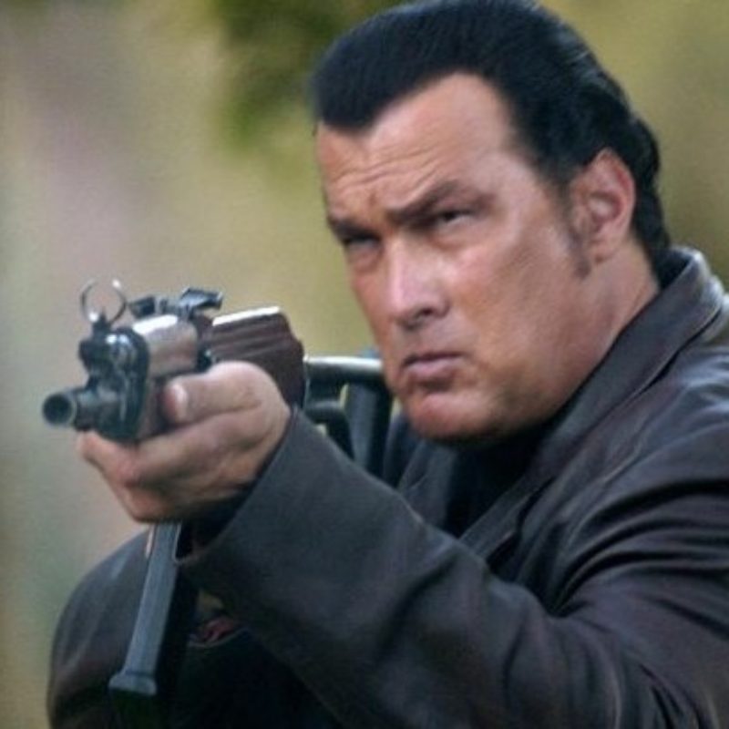 Steven Seagal: Aikido Master and Action Star