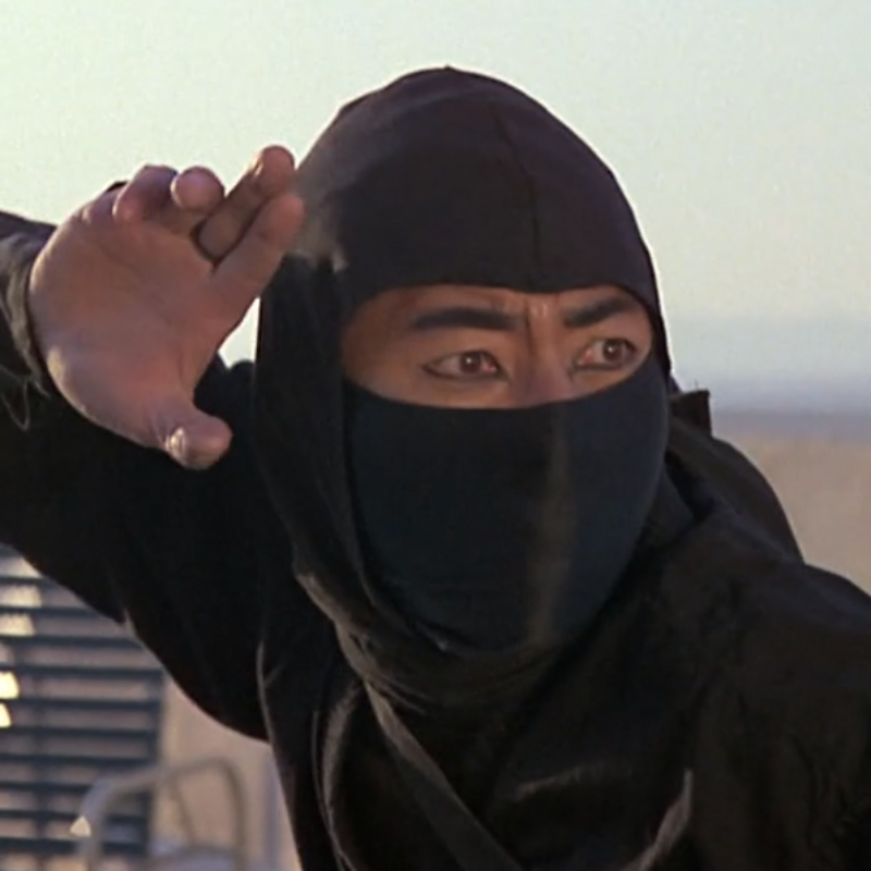 Revenge of the Ninja (1983) Biography, Plot, Production, Box office, Trailer