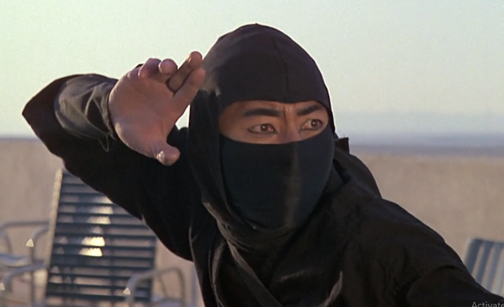 Revenge of the Ninja (1983)