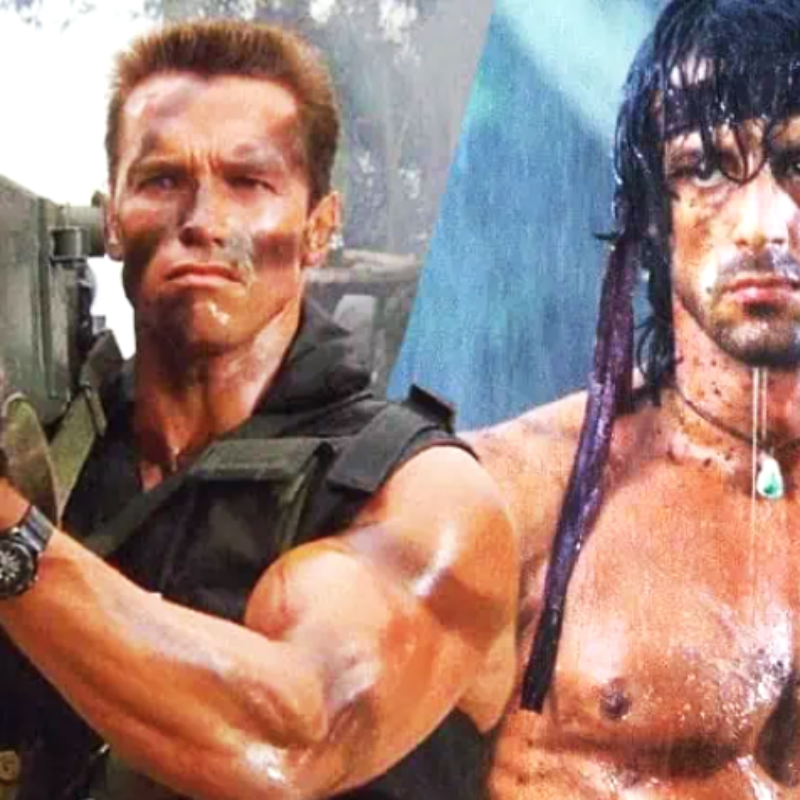 Arnold Schwarzenegger Once Mentioned He Started Rivalry To Legendary Sylvester Stallone As He Knew Sly Was More Successful