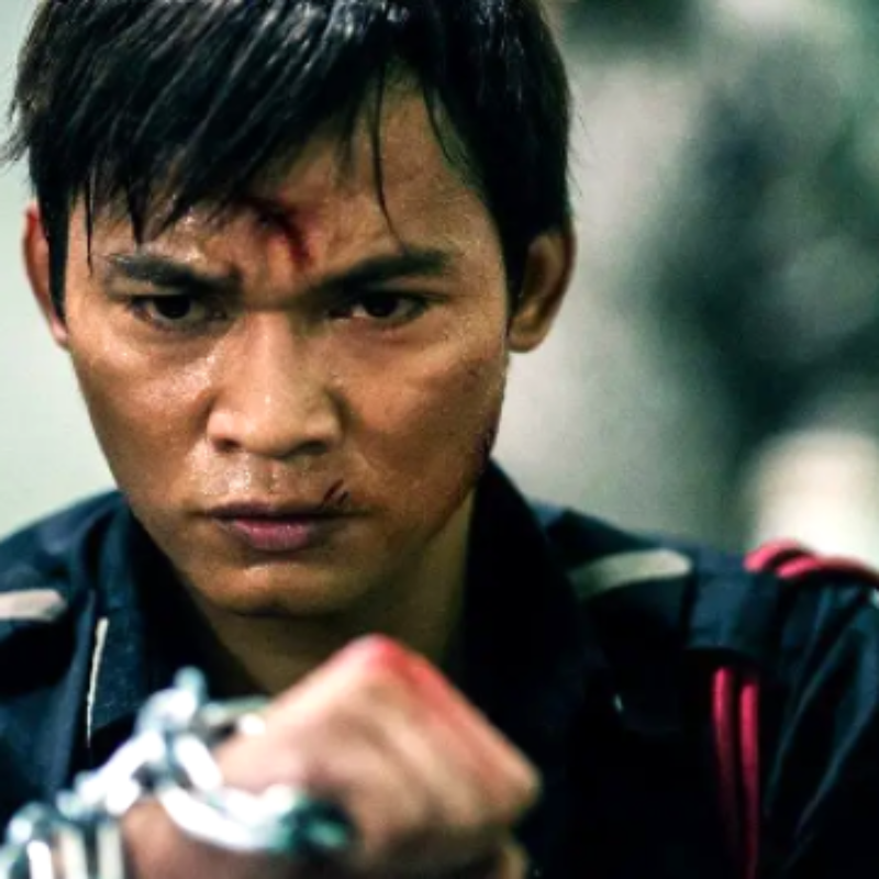 SPL (Kill Zone): The Martial Arts Movies, Worst to Best