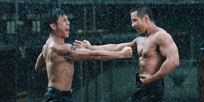 9 Great Martial Arts Movies That Showcase Multiple Fighting Styles