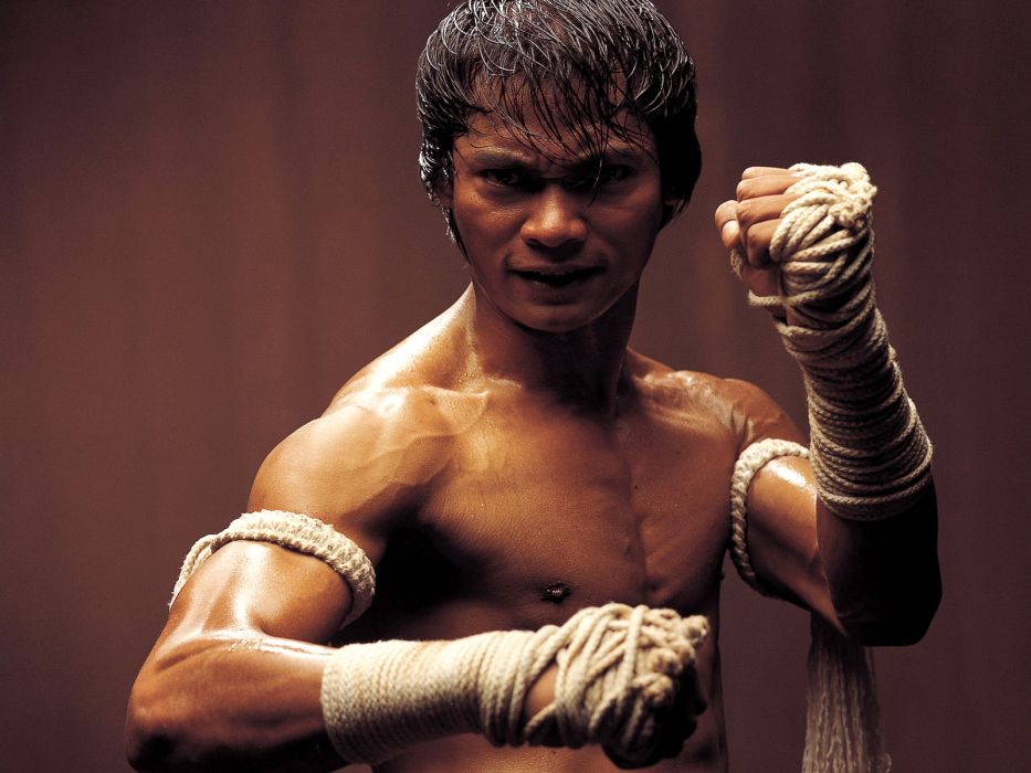 10 Great Martial Arts Movie Stars That Aren't Jackie Chan or Bruce Lee