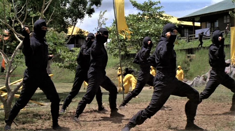 American Ninja (1995)