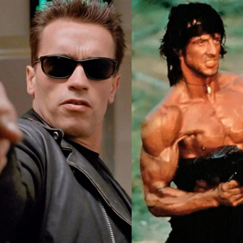 Arnold Schwarzenegger and Sylvester Stallone Net Worth Comparison: