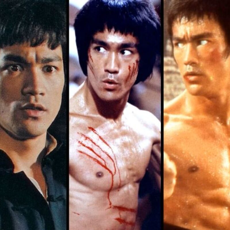 Bruce Lee Hits And Flops Movies List