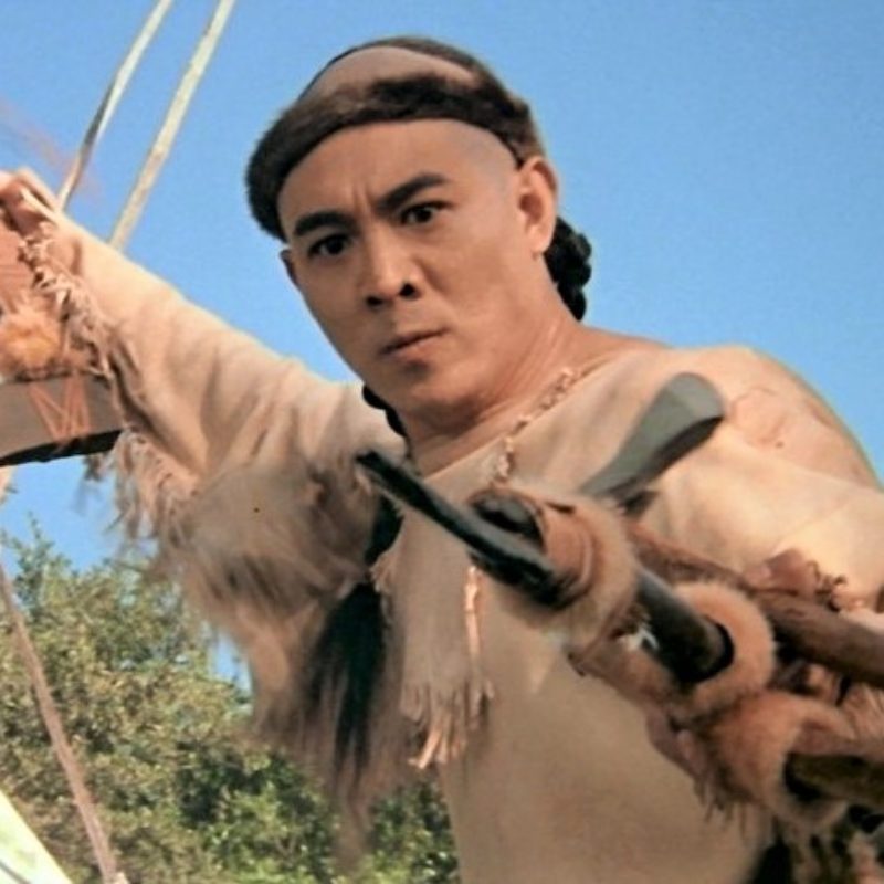 What Kind Of Martial Arts is Jet Li Skillfully Mastered In?