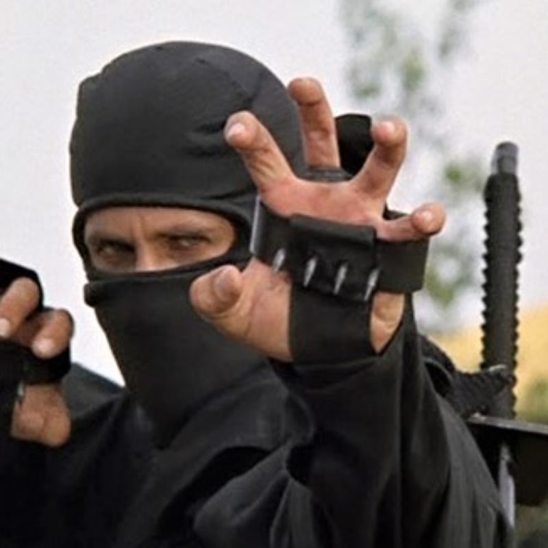 American Ninja (1995) Biography, Plot, Casting, Trailer