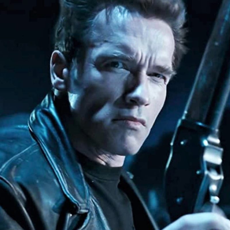 Arnold Schwarzenegger Time Travel Roles