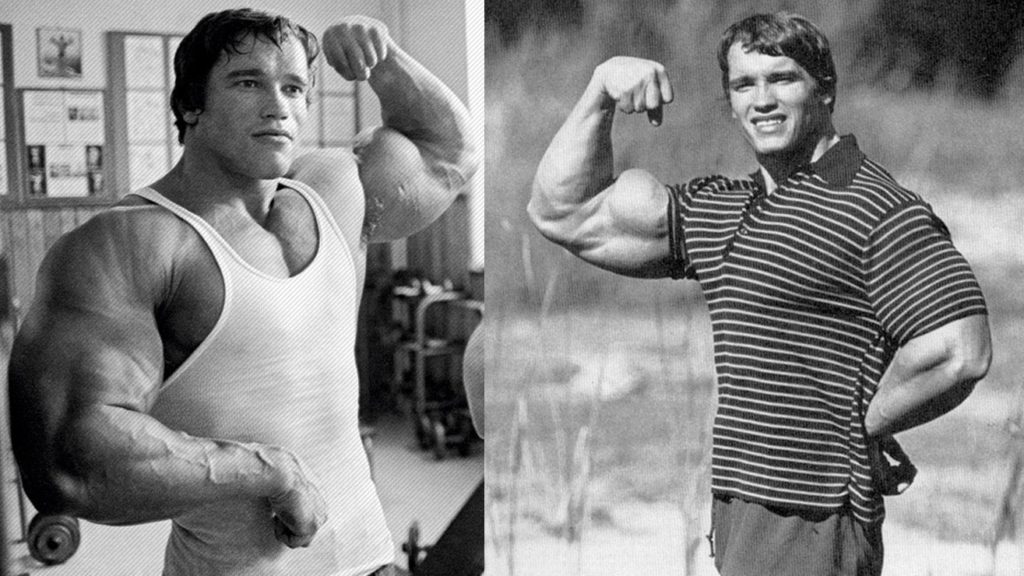 Arnold Schwarzenegger Bodybuilding Career