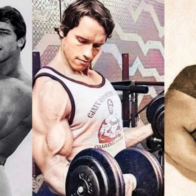 Arnold Schwarzenegger Bodybuilding Career