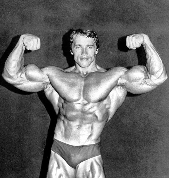 Arnold Schwarzenegger Bodybuilding Career