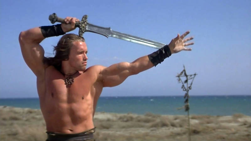 9 Classic Arnold Schwarzenegger Characters That Need To Return