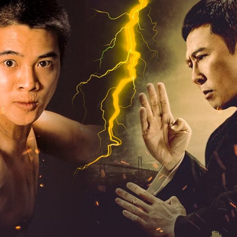 Jet Li vs Donnie Yen Wushu vs Wing Chun