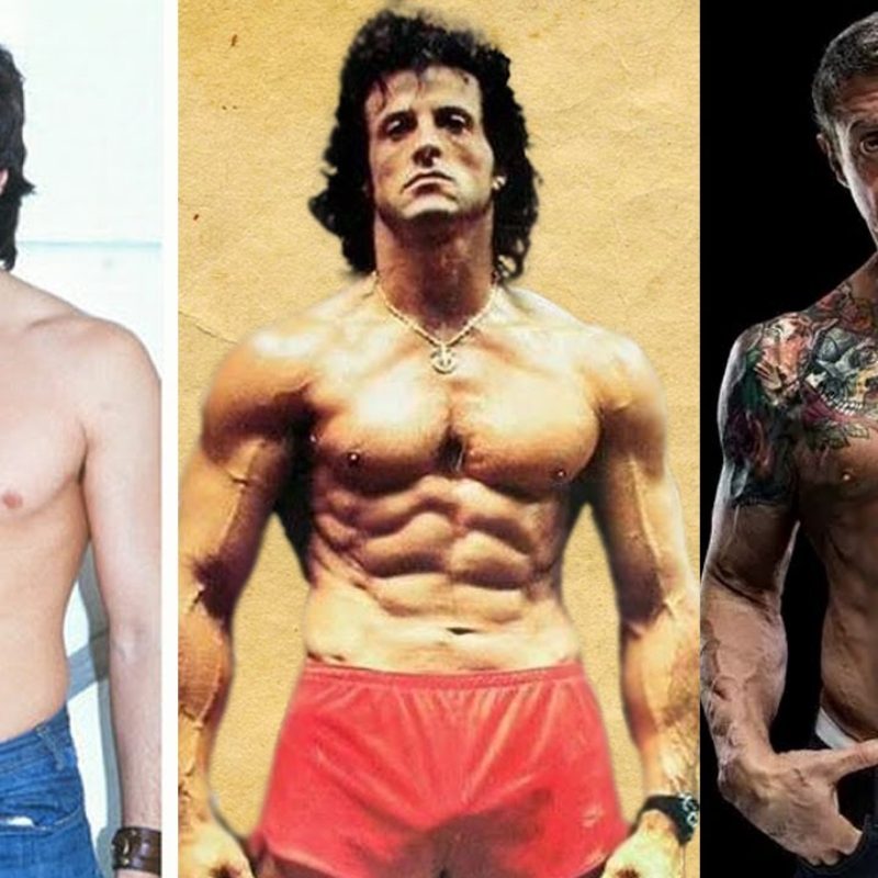 Sylvester Stallone From 1970 to 2023