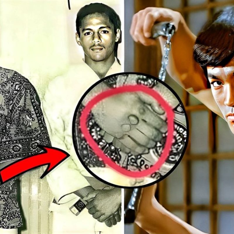 Bruce Lee One Inch Punch Brutal SPEED and POWER!