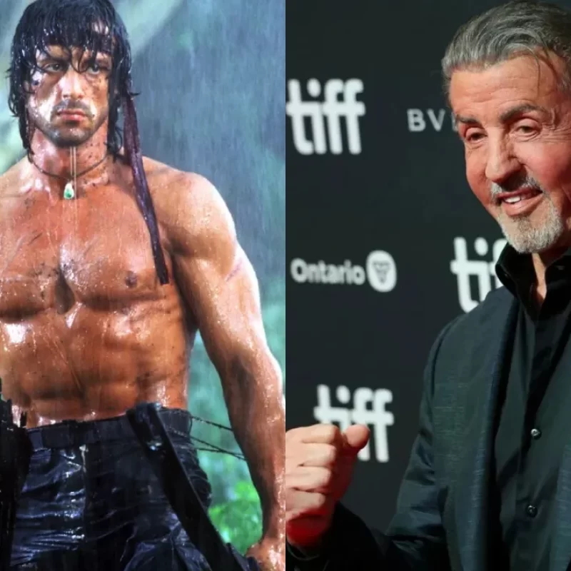 “No Evidence At All”: Stallone’s Rambo Sequel Gets Completely Destroyed For Realism By Expert