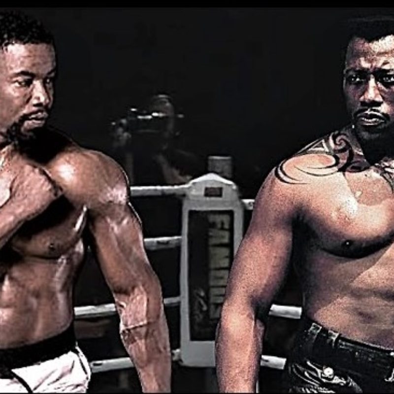 Michael Jai White vs Wesley Snipes: