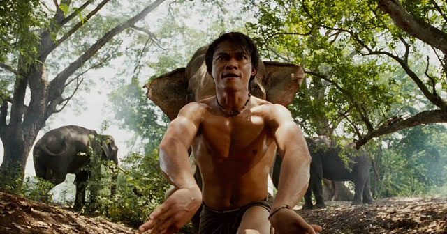 Tony Jaa | Epic Fight Scenes | Martial Arts Movie Legend